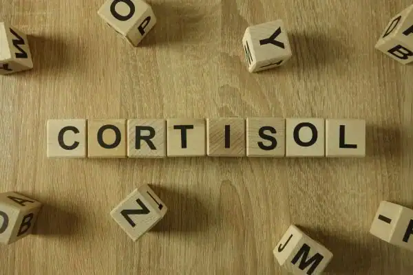 The Hidden Connection: How Stress Shapes Your Fitness and Body Composition 2 Image saying "Cortisol" and how stress Essex impacts your wellbeing and bodies shape